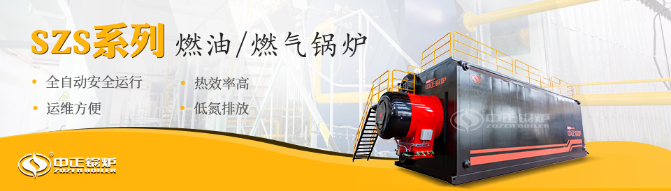 szs燃油燃氣鍋爐(960-274).jpg